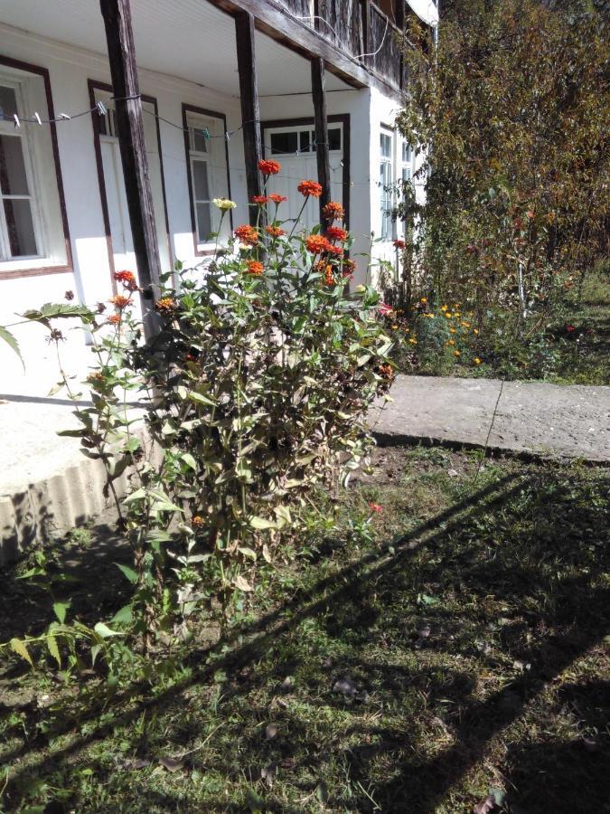 9 Plus - Orbeli Exterior photo
