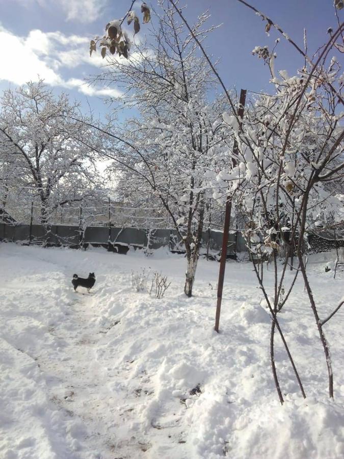 9 Plus - Orbeli Exterior photo